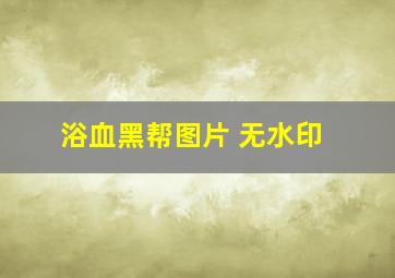 浴血黑帮图片 无水印